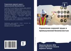 Управление охраной труда и промышленной безопасностью kitap kapağı