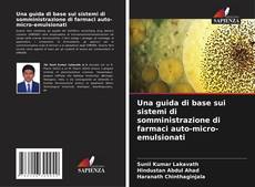 Обложка Una guida di base sui sistemi di somministrazione di farmaci auto-micro-emulsionati