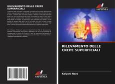 RILEVAMENTO DELLE CREPE SUPERFICIALI的封面