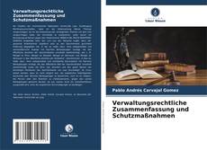 Portada del libro de Verwaltungsrechtliche Zusammenfassung und Schutzmaßnahmen