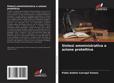 Borítókép a  Sintesi amministrativa e azione protettiva - hoz