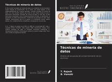 Buchcover von Técnicas de minería de datos