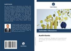 Buchcover von Audit-Konto