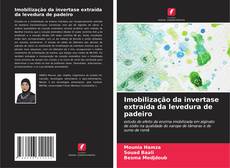 Portada del libro de Imobilização da invertase extraída da levedura de padeiro