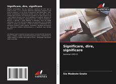 Significare, dire, significare的封面