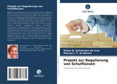 Capa do livro de Projekt zur Regulierung von Schulflüssen 