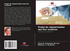 Buchcover von Projet de régularisation des flux scolaires