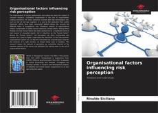 Organisational factors influencing risk perception的封面