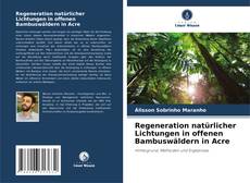 Capa do livro de Regeneration natürlicher Lichtungen in offenen Bambuswäldern in Acre 