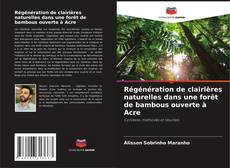 Copertina di Régénération de clairières naturelles dans une forêt de bambous ouverte à Acre