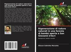 Rigenerazione di radure naturali in una foresta di bambù aperta a San Giovanni d'Acri的封面