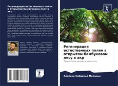 Buchcover von Регенерация естественных полян в открытом бамбуковом лесу в акр