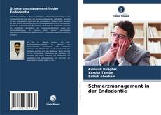 Capa do livro de Schmerzmanagement in der Endodontie 