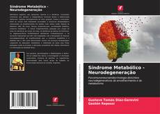 Síndrome Metabólico - Neurodegeneração kitap kapağı