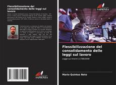 Bookcover of Flessibilizzazione del consolidamento delle leggi sul lavoro