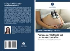 Portada del libro de Frühgeburtlichkeit bei Heranwachsenden