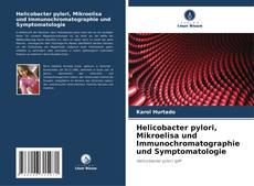 Portada del libro de Helicobacter pylori, Mikroelisa und Immunochromatographie und Symptomatologie