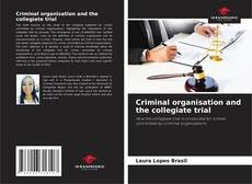 Criminal organisation and the collegiate trial的封面