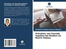 Couverture de Prävalenz von Fasciola hepatica bei Rindern im Bezirk Ilabaya