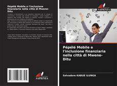 Copertina di Pépélé Mobile e l'inclusione finanziaria nella città di Mwene-Ditu