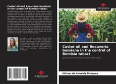 Bookcover of Castor oil and Beauveria bassiana in the control of Bemisia tabaci