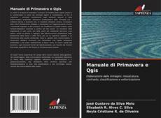 Borítókép a  Manuale di Primavera e Qgis - hoz