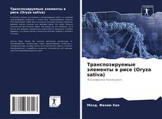 Buchcover von Транспозируемые элементы в рисе (Oryza sativa)