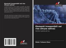 Bookcover of Elementi trasponibili nel riso (Oryza sativa)