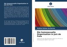 Die homosexuelle Organisation in Juiz de Fora kitap kapağı