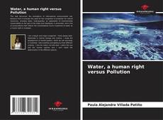 Portada del libro de Water, a human right versus Pollution