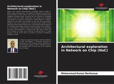 Architectural exploration in Network on Chip (NoC)的封面