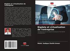 Bigdata et virtualisation de l'entreprise kitap kapağı