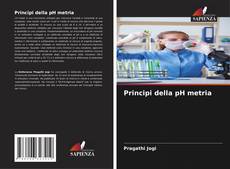 Bookcover of Principi della pH metria