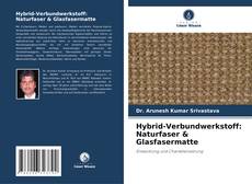 Portada del libro de Hybrid-Verbundwerkstoff: Naturfaser & Glasfasermatte