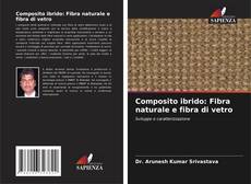 Copertina di Composito ibrido: Fibra naturale e fibra di vetro