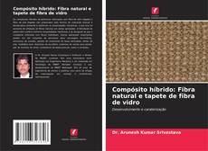 Capa do livro de Compósito híbrido: Fibra natural e tapete de fibra de vidro 