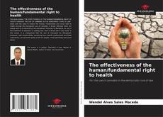 Portada del libro de The effectiveness of the human/fundamental right to health