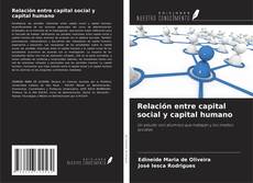 Relación entre capital social y capital humano kitap kapağı