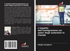 Copertina di L'impatto dell'immigrazione sui salari degli autoctoni in Irlanda