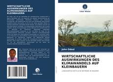 WIRTSCHAFTLICHE AUSWIRKUNGEN DES KLIMAWANDELS AUF KLEINBAUERN的封面