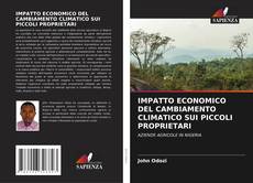 Portada del libro de IMPATTO ECONOMICO DEL CAMBIAMENTO CLIMATICO SUI PICCOLI PROPRIETARI