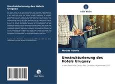 Bookcover of Umstrukturierung des Hotels Uruguay