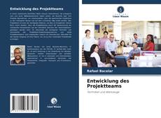 Portada del libro de Entwicklung des Projektteams