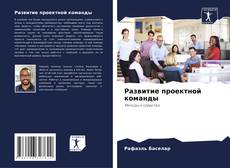Bookcover of Развитие проектной команды