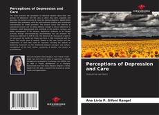 Bookcover of Perceptions of Depression and Care