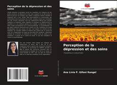 Couverture de Perception de la dépression et des soins
