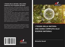 Bookcover of I TESORI DELLA NATURA: UNA GUIDA COMPLETA ALLE RISORSE NATURALI