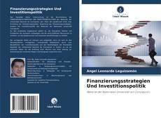 Finanzierungsstrategien Und Investitionspolitik kitap kapağı