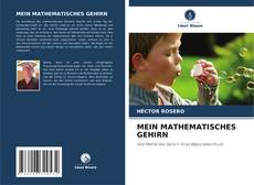 Buchcover von MEIN MATHEMATISCHES GEHIRN