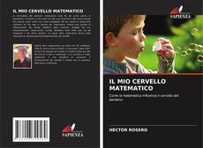 IL MIO CERVELLO MATEMATICO kitap kapağı